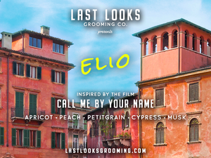 Elio by Last Looks Grooming Inspired by the Film Call Me By Your Nam